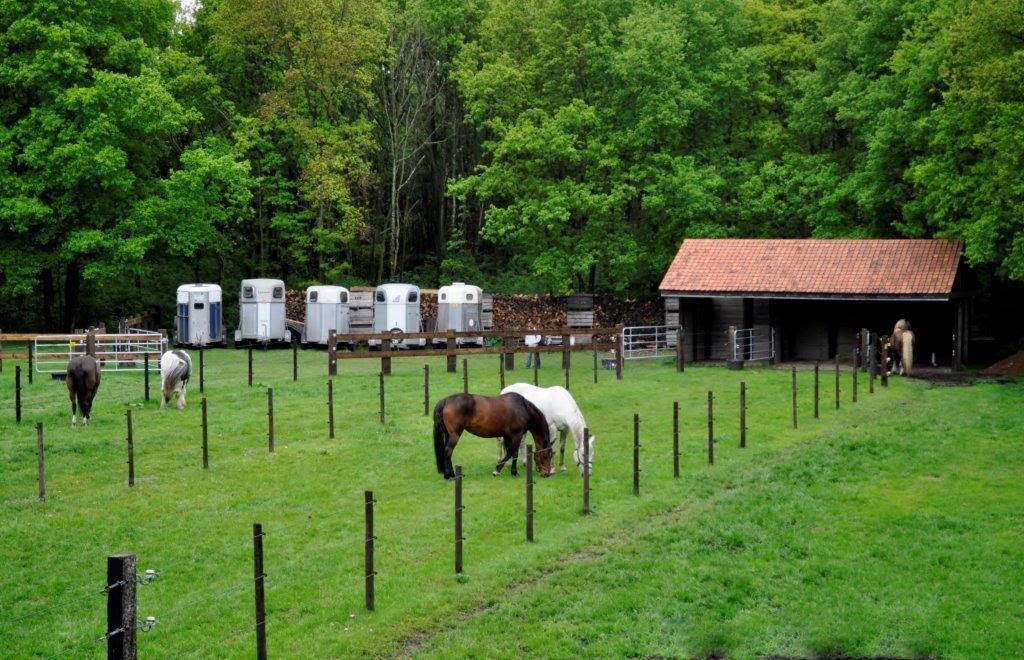 B&B De Edelsteen Zutendaal Dış mekan fotoğraf