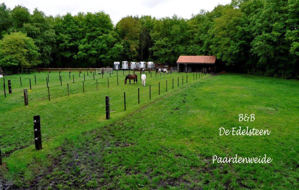 B&B De Edelsteen Zutendaal Dış mekan fotoğraf